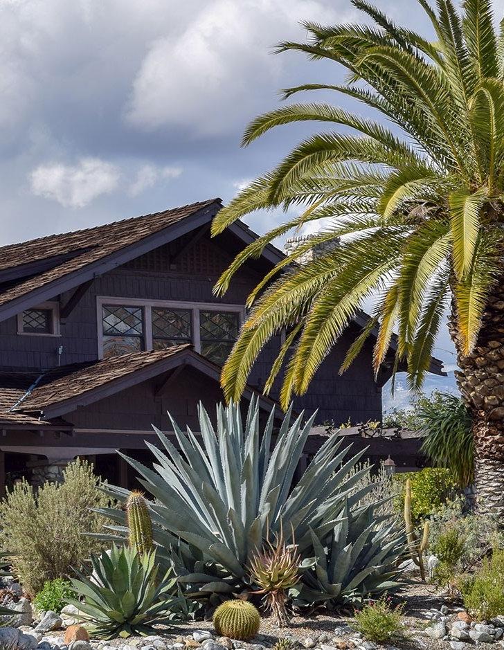 front view of the grove house surrounding by cactus